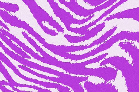 Purple abstract background.Striped pattern for Wallpaper.の写真素材