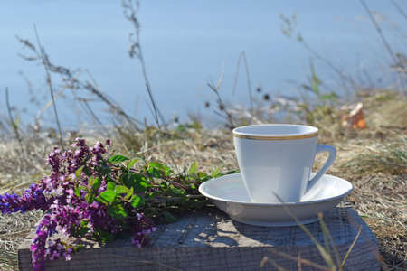 Medicinal herbs sage and oregano.Healthy tea in nature.