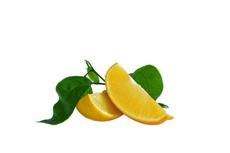 Lemon slices and green leaves on a white background.