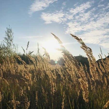 countryside landscapeの写真素材