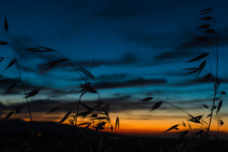 Magnificent sunset colors the surroundings in warm tones, creating a scene of serene beauty.の写真素材
