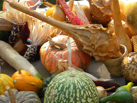 Variety of exotic autumn fruits, pumpkins and watermelonsの写真素材