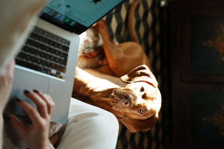Young woman with her dog working using laptop at home. concept of workplace at home, working remotelyの写真素材