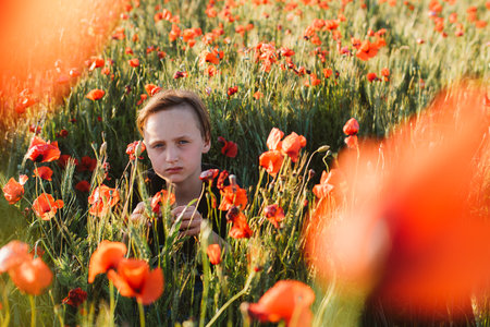 Child is sitting among vibrant poppies in a field, displaying a thoughtful expression. The scene captures the peaceful and natural setting, highlighting the child's interaction with natureの写真素材