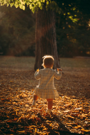 Toddler dressed in a plaid outfit walking and exploring a forest covered in autumn leaves. The child is standing among the fallen foliage, creating a warm, playful sceneの写真素材