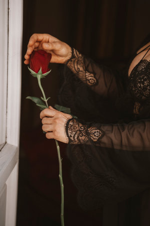 Woman's hand in lace sleeve gently holds a single red rose by an open window. The delicate lace contrasts with the vibrant rose, suggesting themes of romance and eleganceの写真素材