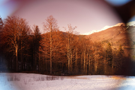 Winter landscape captured through sunglasses, showing bare trees and snowy ground under a clear sky. The sunglasses tint provides a warm filter, enhancing the scene's tranquility.の写真素材