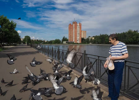 A man on the embankment feeds pigeonsの写真素材