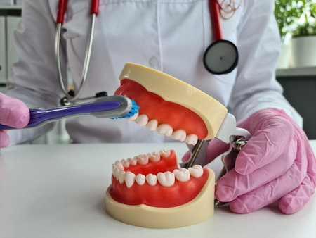 Closeup of dentist hands with human jaw and atothbrush. oral hygiene conceptの写真素材