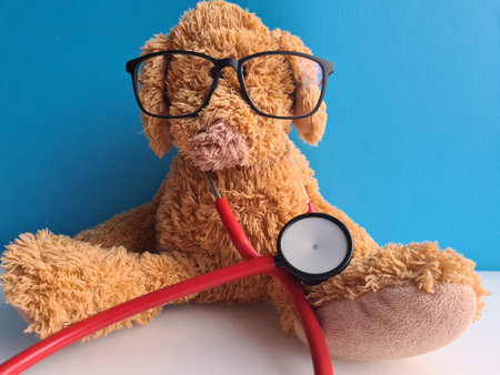 Pediatrics and teddy bear or dog in glasses with a stethoscope. Treatment of children diseasesの写真素材