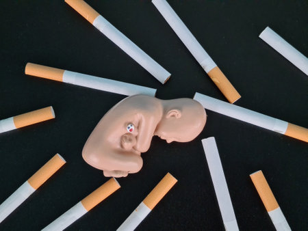 Smoking during pregnancy. Tobacco smoking during pregnancy. Effect of smoking on fetal developmentの写真素材