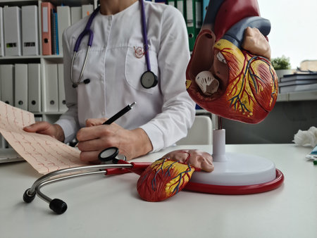 Doctor cardiologist examines patient cardiogram in clinic. Examination of the cardiovascular systemの写真素材