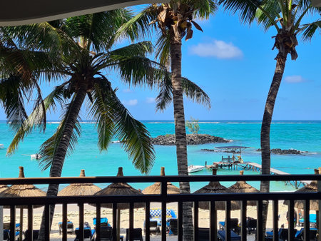 Panorama of idyllic tropical beach with palm trees white sand and turquoise blue water conceptの写真素材