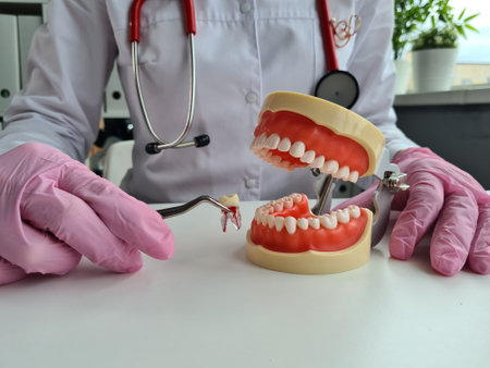 Dentist manually pulls out diseased tooth with forceps from jaw model. Extraction of teethの写真素材