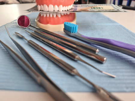 Artificial jaw mockup with money and dental tool. Cost of dental services and maintenanceの写真素材