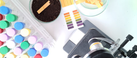 Litmus over a soil sample in laboratory closeup. Soil research and agrochemical laboratoryの写真素材