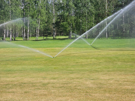Garden lawn watering system. Automatic sprinkler for watering green grass and golf courses conceptの写真素材