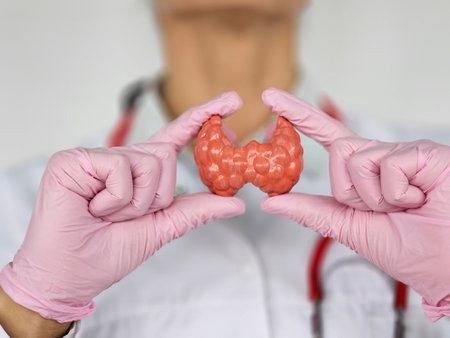 Doctor with a model of human thyroid anatomy. Hyperthyroidism and hypothyroidism, Hashimoto's thyroiditis, thyroid tumor and cancerの写真素材