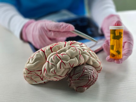 Doctor holding brain model and pills in clinic.の写真素材