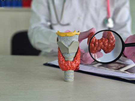 Detailed examination of thyroid model by a medical professional in a clinical setting