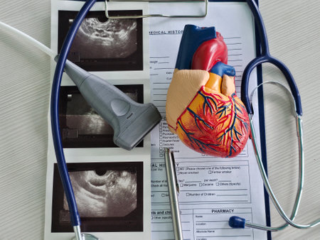 Medical examination with heart model and ultrasound images on patient history formの写真素材