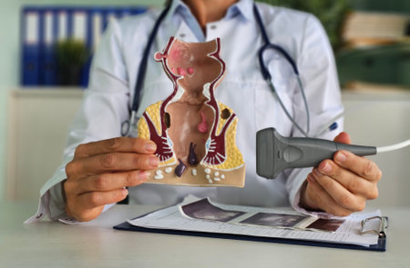 Rectal examination and transrectal ultrasound. Ultrasound examination of the rectum. Ultrasound diagnostics of diseases of the rectum and colonの写真素材