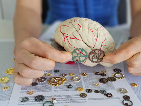 Hands explore the intersection of mechanics and neuroscience with gears and a model brain on a table