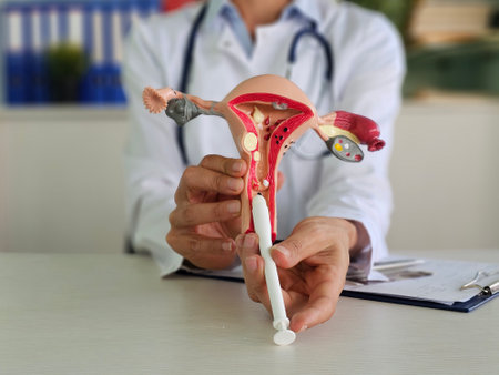 Medical suppositories and female uterus in hands of doctor. Concept of vaginal suppositoriesの写真素材
