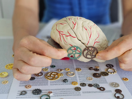 Exploring the connection between cognitive function and mechanical innovation using a brain model and gearsの写真素材
