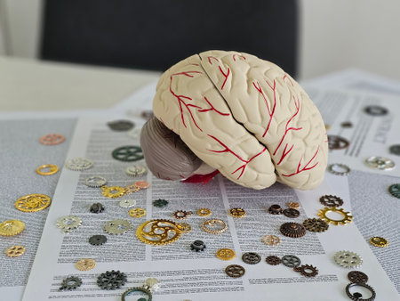 Model brain surrounded by mechanical gears on a table covered with printed material in a modern workspace settingの写真素材