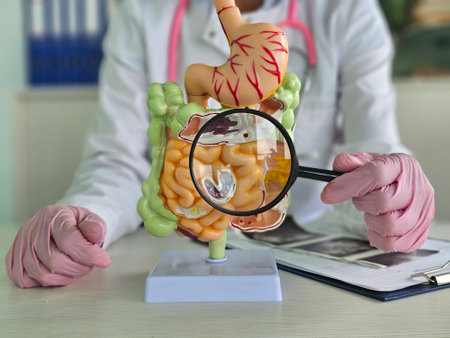 A medical professional examines a detailed digestive system model with a magnifying glass in a...