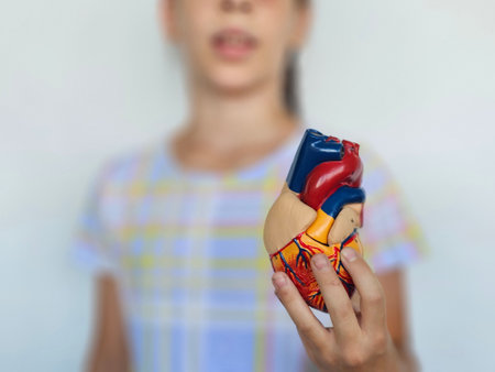 Child girl holds a colorful model of a human heart in a casual setting, emphasizing learning about anatomy and health educationの写真素材