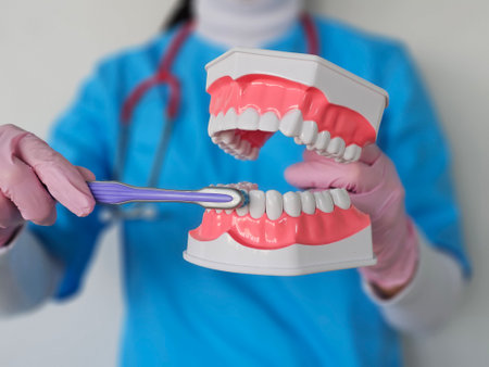 Dentist demonstrating proper tooth brushing technique using a dental model in a clinical setting...