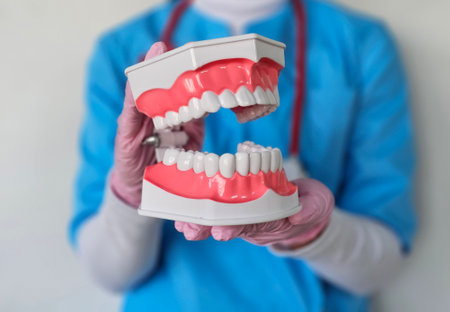 Dental professional demonstrates dental model in clinic while educating patients about oral health practicesの写真素材