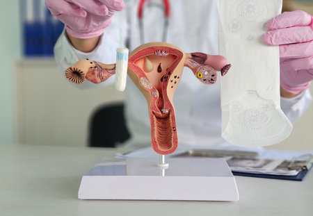 Gynecologist anatomy of the female reproductive system sanitary pad and tampon. Recommendations of a...