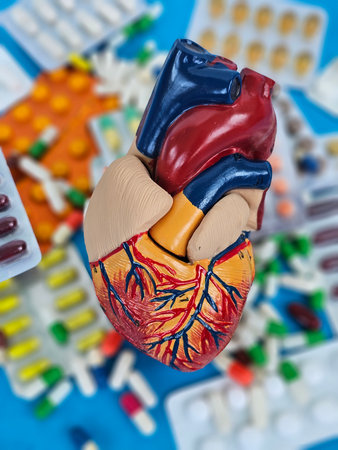 Educational model of a human heart surrounded by various medications and pills on a blue backgroundの写真素材