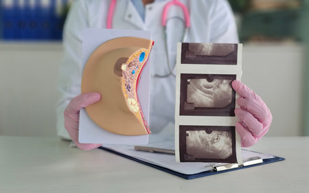 A mammologist studies photographs of a woman breast and ultrasound results. The concept of breast diseaseの写真素材