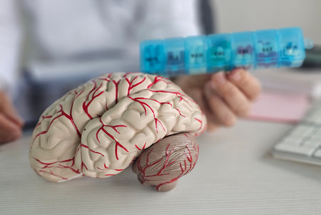 Model of human brain displayed alongside a weekly medication organizer during a health consultation...