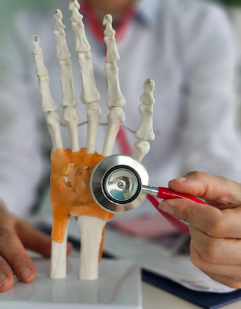 Medical professional examining a hand skeleton model using a stethoscope for educational purposesの写真素材