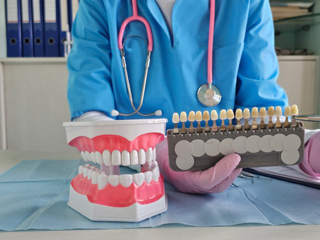 Dental professional demonstrating teeth models and shade guide in clinic setting during daytime