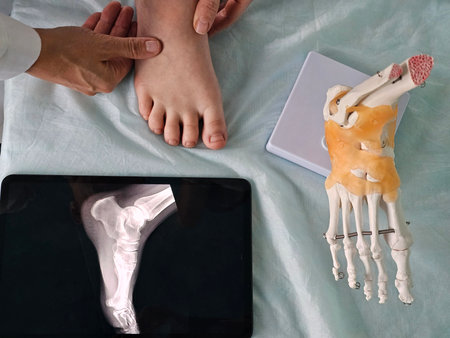 Doctor examining foot with X-ray and skeletal model during consultation in a clinical setting