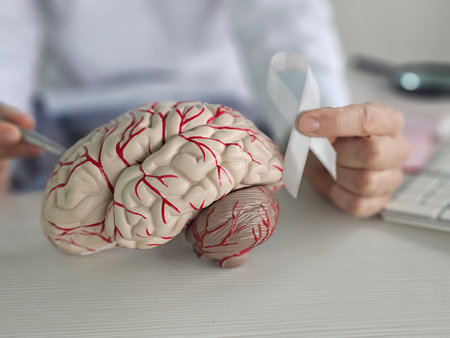 Doctor demonstrating brain structure with model and detail, highlighting blood vessels for...
