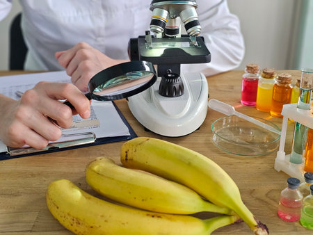 Scientist examining bananas with a microscope and magnifying glass in a laboratory settingの写真素材