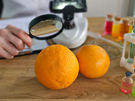 Scientist examines oranges with a magnifying glass in a laboratory setting during an experimentの写真素材
