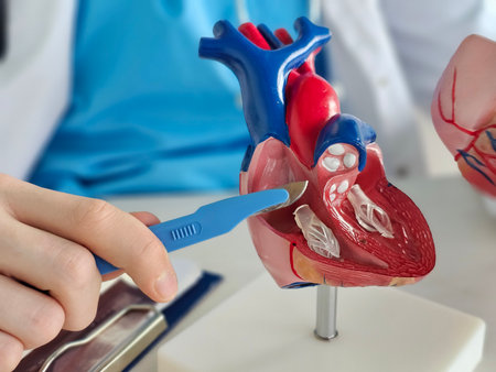 A cardiologist adheres to the scalpel and the concept of cardiac surgery. Treatment of diseases of...