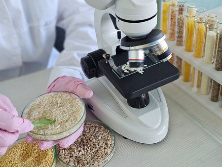 Chickpea, corn, rice, seeds of flax, pumpkin and sunflower in glass Petri dishes for experimental samples. Laboratory control of food quality and safetyの写真素材
