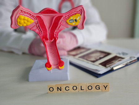 A detailed model of the human female reproductive system is shown on a desk in an oncology clinic conceptの写真素材