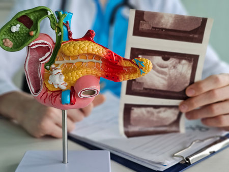 Ultrasound diagnostics of the gallbladder, pancreas, right lobe, liver, bile ducts and abdominal cavityの写真素材