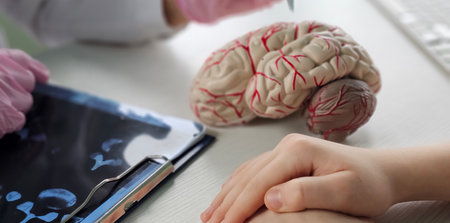 Detailed examination of a human brain model during a medical consultation with a patient in a clinical settingの写真素材