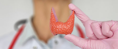 Doctor holding anatomical model of thyroid gland while discussing health in a clinical setting